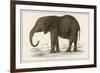Young African Elephant-null-Framed Premium Giclee Print
