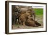 Young African Elephants-Martin Harvey-Framed Photographic Print