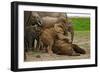 Young African Elephants-Martin Harvey-Framed Photographic Print