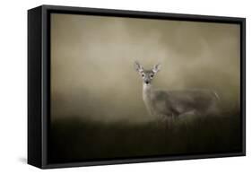 Young and Alert-Jai Johnson-Framed Stretched Canvas