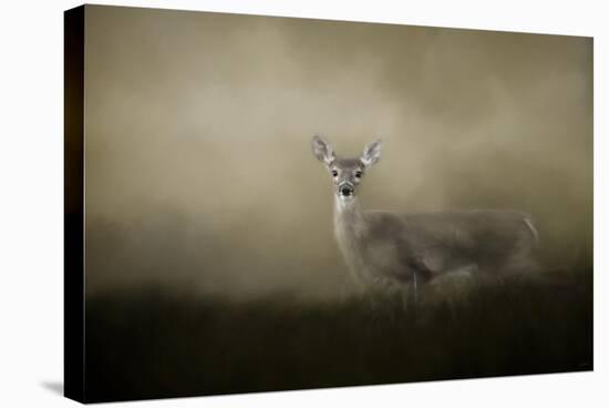 Young and Alert-Jai Johnson-Stretched Canvas