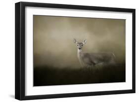 Young and Alert-Jai Johnson-Framed Giclee Print