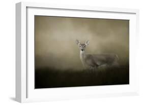 Young and Alert-Jai Johnson-Framed Giclee Print