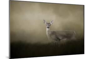 Young and Alert-Jai Johnson-Mounted Giclee Print