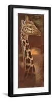 Young and Curious-Ruane Manning-Framed Art Print