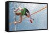 Young Athletes Pole Vault Seems to Reach the Sky-mezzotint-Framed Stretched Canvas