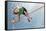 Young Athletes Pole Vault Seems to Reach the Sky-mezzotint-Framed Stretched Canvas