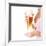 Young Attractive Blonde in Sexy Lingerie Holding a Beer-B-D-S-Framed Photographic Print