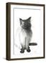 Young Baby, 2004, (ink on paper)-Vincent Alexander Booth-Framed Giclee Print