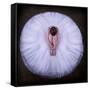Young Ballerina-Pauline Pentony Ba-Framed Stretched Canvas