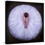 Young Ballerina-Pauline Pentony Ba-Stretched Canvas