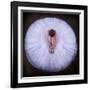 Young Ballerina-Pauline Pentony Ba-Framed Photographic Print