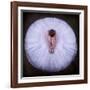 Young Ballerina-Pauline Pentony Ba-Framed Photographic Print