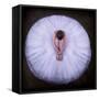 Young Ballerina-Pauline Pentony Ba-Framed Stretched Canvas