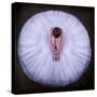 Young Ballerina-Pauline Pentony Ba-Stretched Canvas