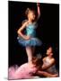 Young Ballerinas Wearing Tutus and Ballet Slippers-Bill Bachmann-Mounted Photographic Print