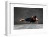 Young Beautiful Yoga Female Posing in Studio-AYakovlev-Framed Photographic Print