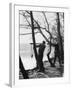 Young Birdwatchers-null-Framed Photographic Print