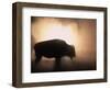 Young Bison, Getting Warmth from Steaming Geyser, Yellowstone, USA-Pete Cairns-Framed Premium Photographic Print