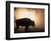 Young Bison, Getting Warmth from Steaming Geyser, Yellowstone, USA-Pete Cairns-Framed Premium Photographic Print