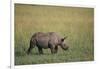 Young Black Rhinoceros-DLILLC-Framed Photographic Print