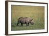 Young Black Rhinoceros-DLILLC-Framed Photographic Print