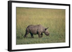 Young Black Rhinoceros-DLILLC-Framed Photographic Print