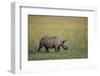 Young Black Rhinoceros-DLILLC-Framed Photographic Print