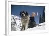 Young Blonde Boy on Skiis with St. Bernard Dog at Sun Valley Ski Resort, Idaho, April 22, 1947-George Silk-Framed Photographic Print