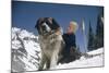 Young Blonde Boy on Skiis with St. Bernard Dog at Sun Valley Ski Resort, Idaho, April 22, 1947-George Silk-Mounted Photographic Print