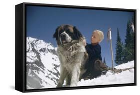 Young Blonde Boy on Skiis with St. Bernard Dog at Sun Valley Ski Resort, Idaho, April 22, 1947-George Silk-Framed Stretched Canvas