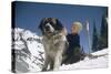 Young Blonde Boy on Skiis with St. Bernard Dog at Sun Valley Ski Resort, Idaho, April 22, 1947-George Silk-Stretched Canvas