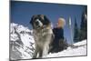 Young Blonde Boy on Skiis with St. Bernard Dog at Sun Valley Ski Resort, Idaho, April 22, 1947-George Silk-Mounted Photographic Print