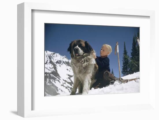 Young Blonde Boy on Skiis with St. Bernard Dog at Sun Valley Ski Resort, Idaho, April 22, 1947-George Silk-Framed Photographic Print