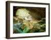 Young Blonde Mermaid-tosher-Framed Art Print