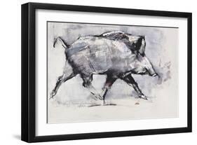 Young Boar, Bialowieza, Poland-Mark Adlington-Framed Giclee Print