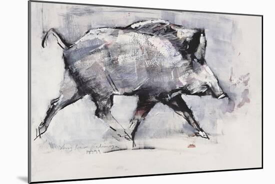 Young Boar, Bialowieza, Poland-Mark Adlington-Mounted Giclee Print