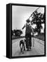 Young Boy and His Dog Walking Home from Fishing-Myron Davis-Framed Stretched Canvas