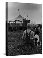 Young Boy and His Dog Watching the Circus Tents Being Set Up-Myron Davis-Stretched Canvas