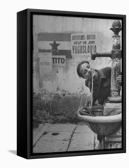 Young Boy Getting a Drink from Fountain in Trieste Region-Nat Farbman-Framed Stretched Canvas