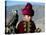 Young Boy Holding a Falcon, Golden Eagle Festival, Mongolia-Amos Nachoum-Stretched Canvas