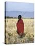 Young Boy of the Datoga Tribe Crosses the Plains East of Lake Manyara in Northern Tanzania-Nigel Pavitt-Stretched Canvas