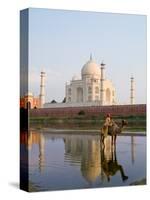 Young Boy on Camel, Taj Mahal Temple Burial Site at Sunset, Agra, India-Bill Bachmann-Stretched Canvas