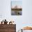 Young Boy on Camel, Taj Mahal Temple Burial Site at Sunset, Agra, India-Bill Bachmann-Photographic Print displayed on a wall