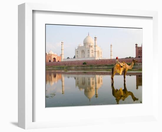 Young Boy on Camel, Taj Mahal Temple Burial Site at Sunset, Agra, India-Bill Bachmann-Framed Photographic Print