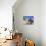 Young Boy on Ibo Island, Part of the Quirimbas Archipelago, Mozambique-Julian Love-Photographic Print displayed on a wall