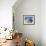 Young Boy on Ibo Island, Part of the Quirimbas Archipelago, Mozambique-Julian Love-Framed Photographic Print displayed on a wall