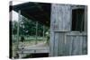 Young Boy on the Porch and a Second Boy Looking Out of Window, on Edisto Island, South Carolina-Walter Sanders-Stretched Canvas