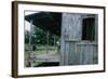 Young Boy on the Porch and a Second Boy Looking Out of Window, on Edisto Island, South Carolina-Walter Sanders-Framed Photographic Print