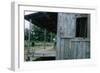 Young Boy on the Porch and a Second Boy Looking Out of Window, on Edisto Island, South Carolina-Walter Sanders-Framed Photographic Print